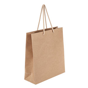 Michelin Paper Bag (pk 5)